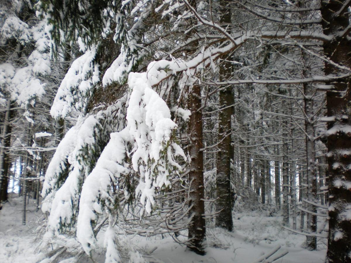Gite De La Mortagne Exteriér fotografie