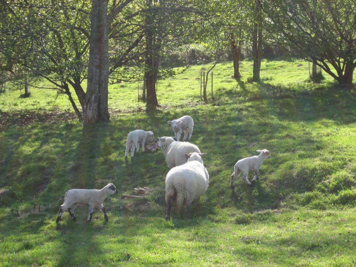 Gite De La Mortagne Exteriér fotografie